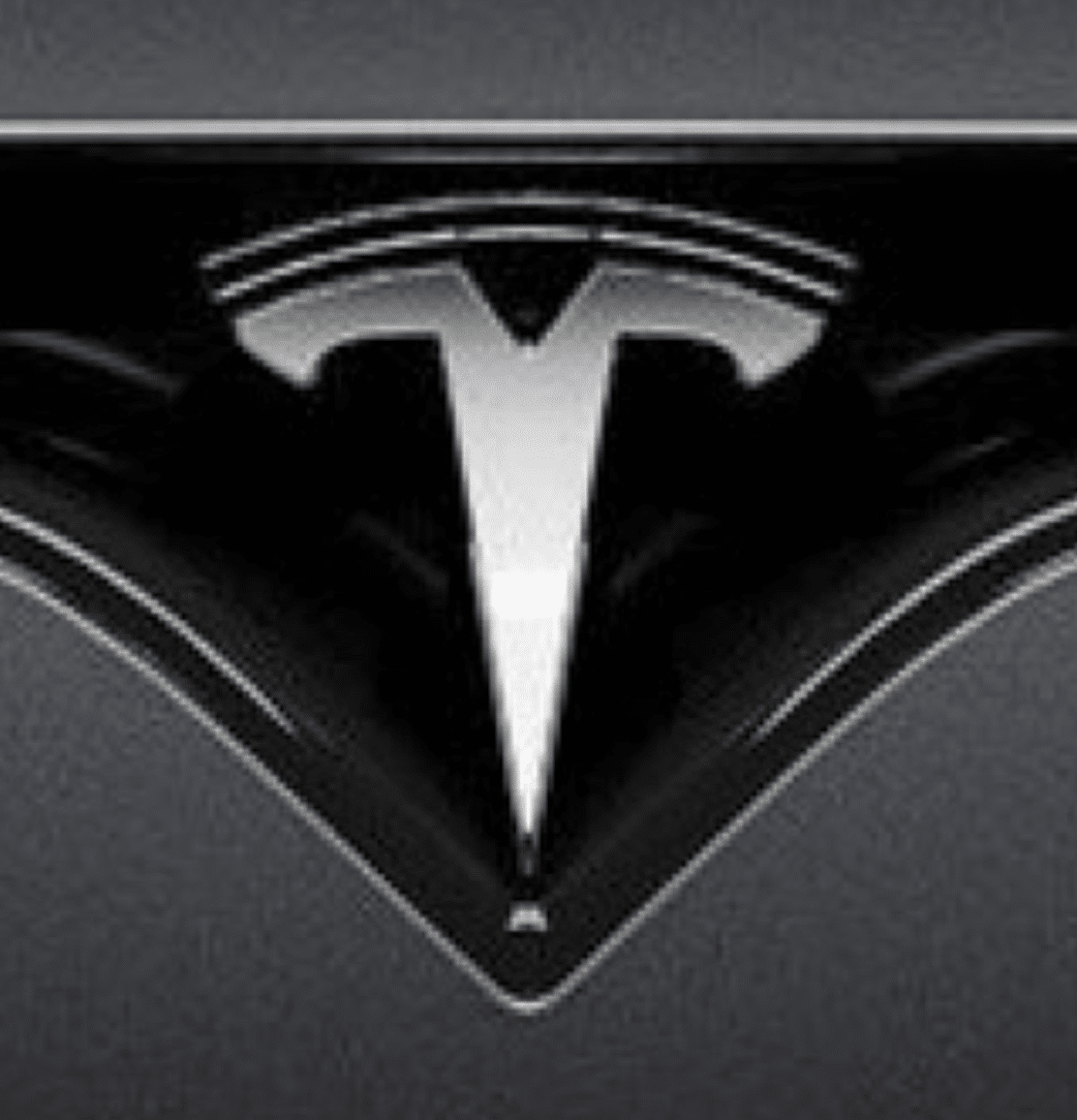 Tesla Badge, copied from 2024 Proxy Statement